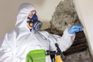 asbestos removal- a man wearing a white hazmat suit and mask